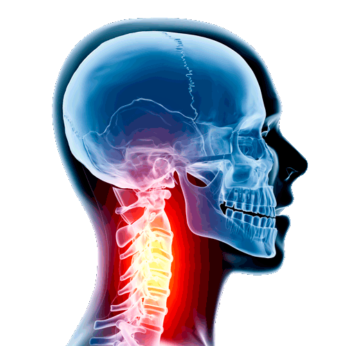 spinal cord injury, spinal cord injury recovery, what is a spinal cord injury, spinal anatomy