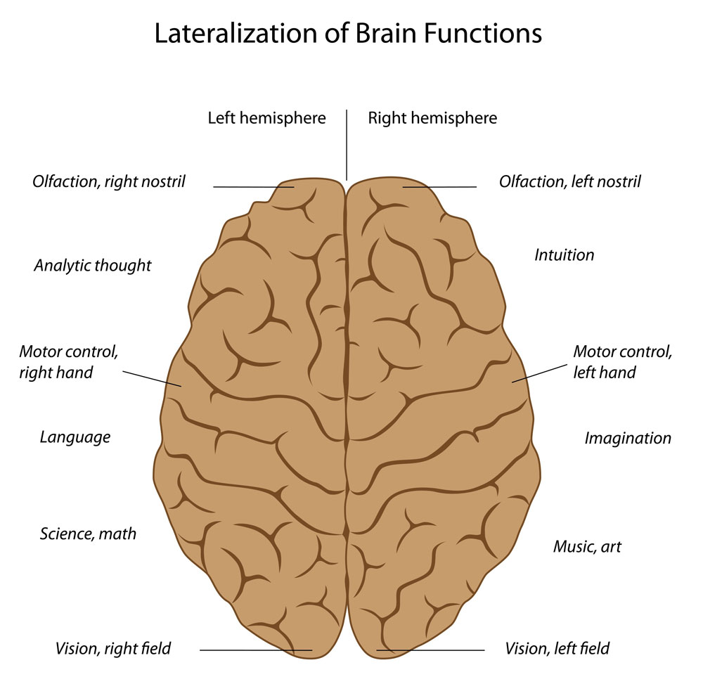 Stroke Rehab