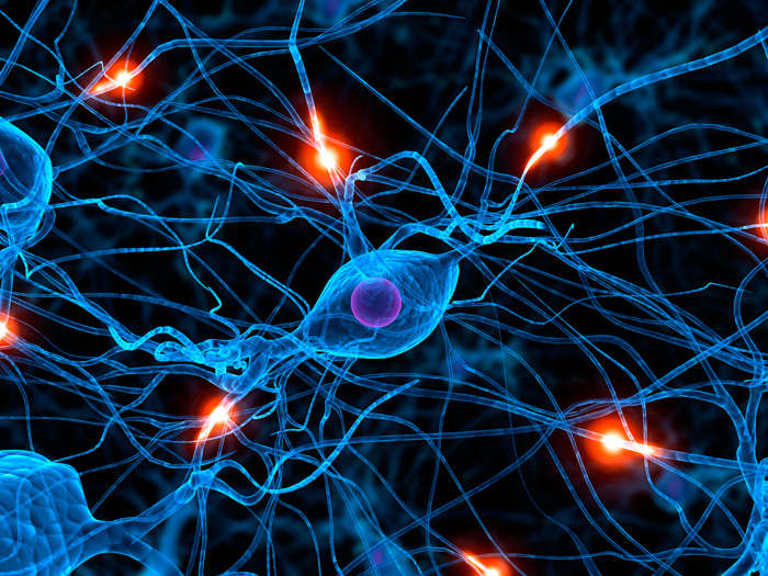 spinal cord injury research, rehabilitation, project walk, recovery